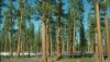 Atlantica BioEnergy Task Force Unveiled