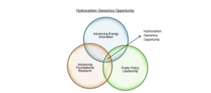 Cleaner and More Abundant Hydrocarbon Energy Through Genomic Research: Report