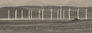 Alberta Renewable Electricity Program reaches RFP stage