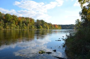 Make users pay for the water services they use: report