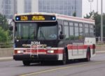 TTC_Orion_VII_Bus_8084