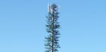 Cell_phone_tower_disguised