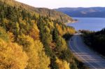 Newfoundland roads fall