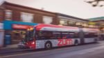 brampton-transit-zum-bus