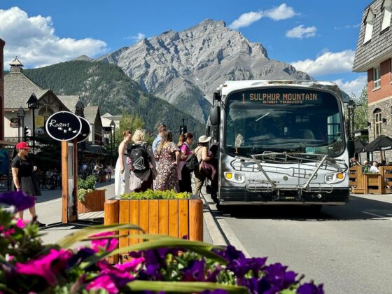 Transit and building improvements coming soon to Banff and surrounding ...